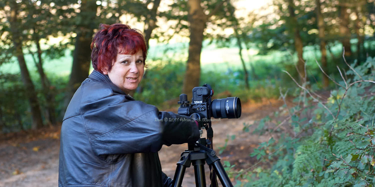 Ilona Weinhold-Wackernah fotografiert in Frelsdorf eine Buche © 2011 Adrian Wackernah